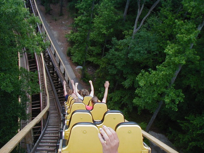 Grizzly, The photo from Kings Dominion