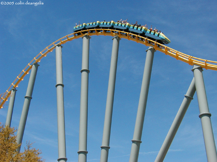 Steel Eel photo from SeaWorld San Antonio