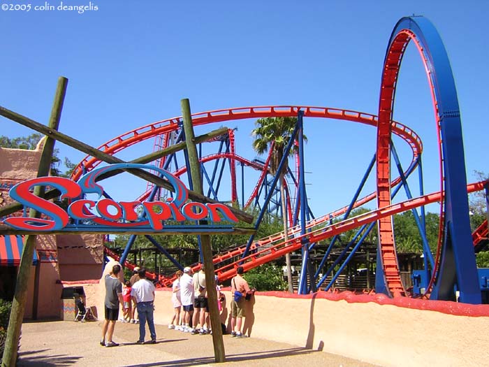 Scorpion photo from Busch Gardens Tampa