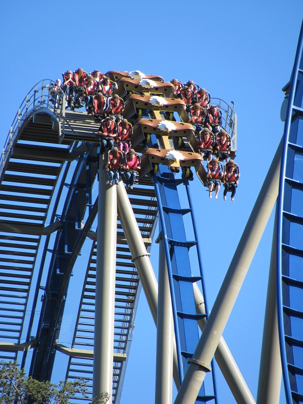 Wild Eagle photo from Dollywood