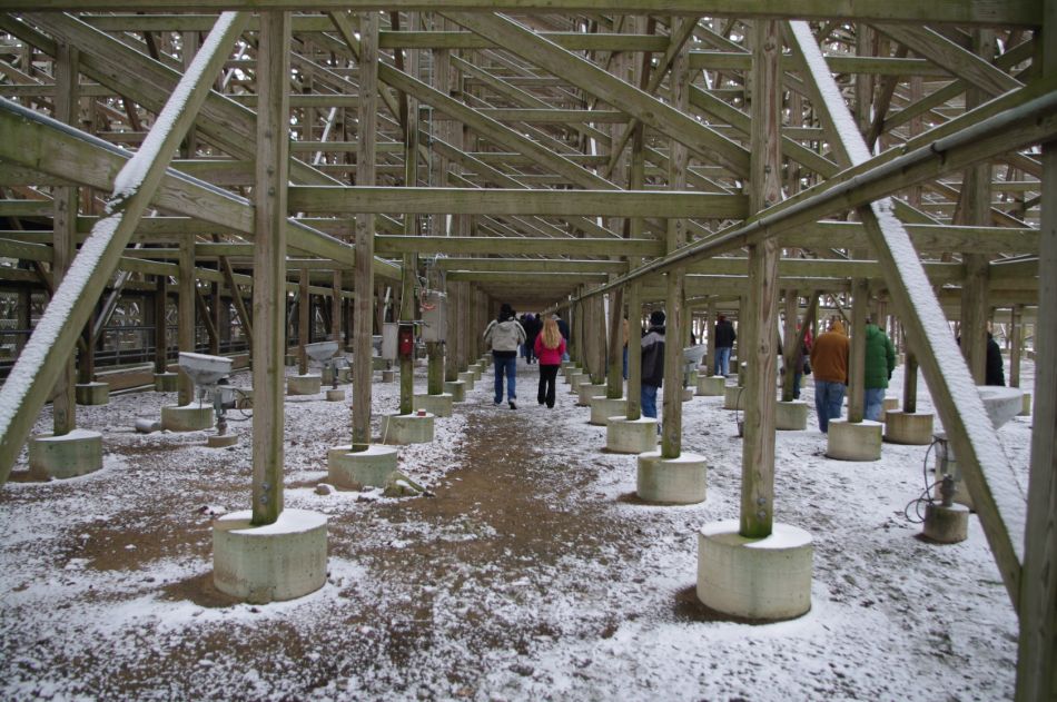 Mean Streak photo from Cedar Point