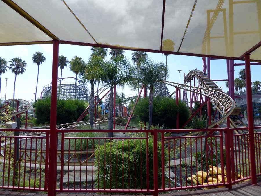 Cobra photo from Six Flags Discovery Kingdom