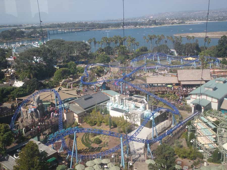 Manta photo from SeaWorld San Diego