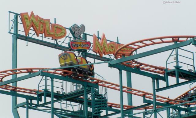 Wild Mouse photo from Dorney Park