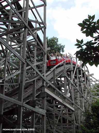 Raven photo from Holiday World