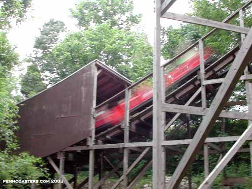 Raven photo from Holiday World