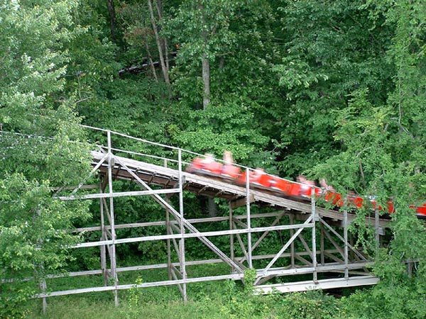 Raven photo from Holiday World