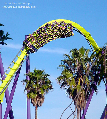 Medusa photo from Six Flags Discovery Kingdom