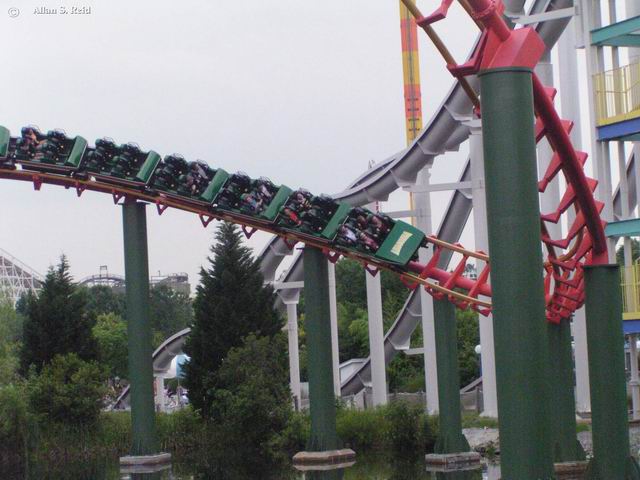 Anaconda photo from Kings Dominion