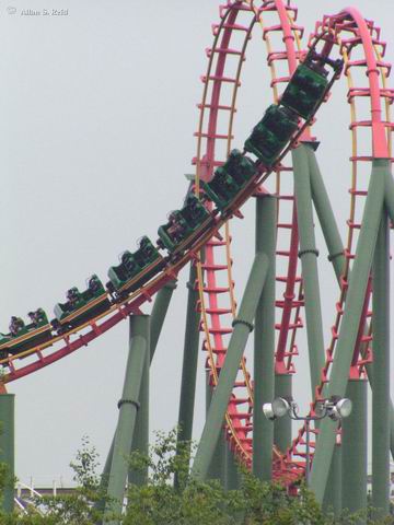 Anaconda photo from Kings Dominion