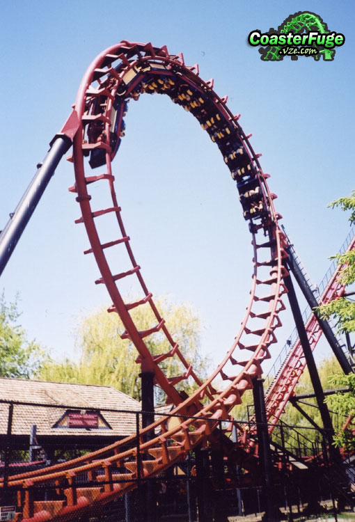 Bat, The photo from Canada's Wonderland