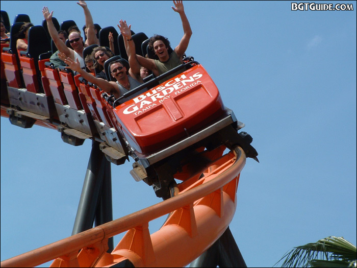 Scorpion photo from Busch Gardens Tampa