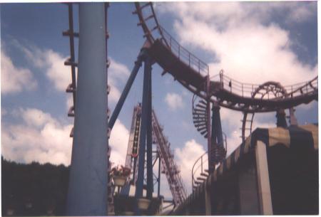 Anaconda photo from Luna Park