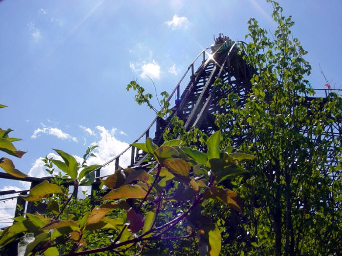 Timber Terror photo from Silverwood