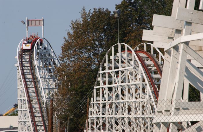 Jackrabbit photo from Seabreeze