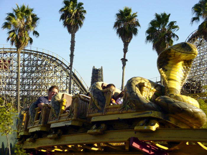 Cobra photo from Six Flags Discovery Kingdom