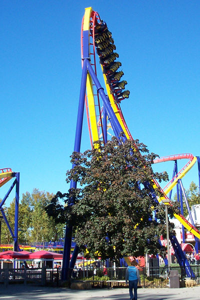 Mantis photo from Cedar Point