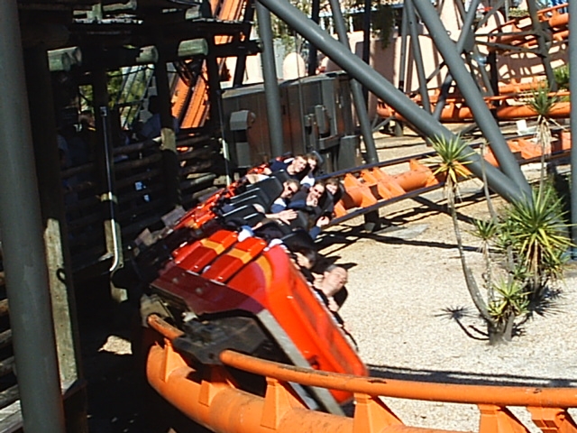 Scorpion photo from Busch Gardens Tampa