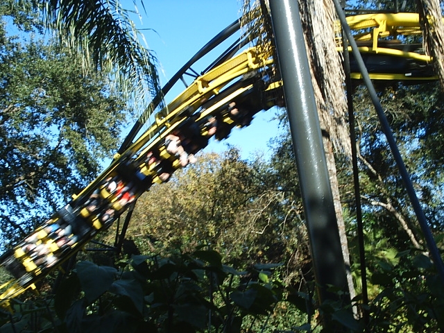 Python Photo From Busch Gardens Tampa Coasterbuzz