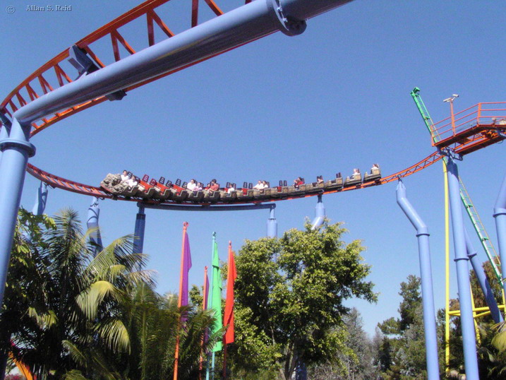 Jaguar! photo from Knott's Berry Farm