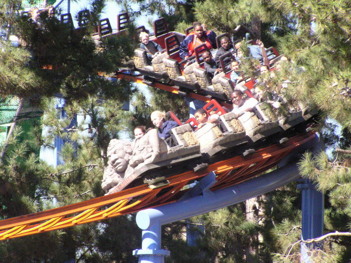 Jaguar! photo from Knott's Berry Farm