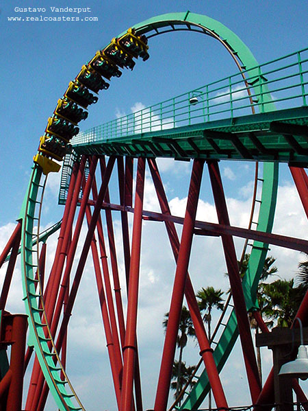 Kumba photo from Busch Gardens Tampa