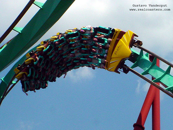 Kumba photo from Busch Gardens Tampa