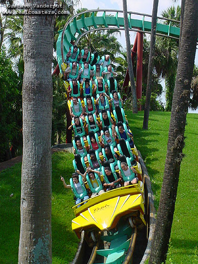 Kumba photo from Busch Gardens Tampa