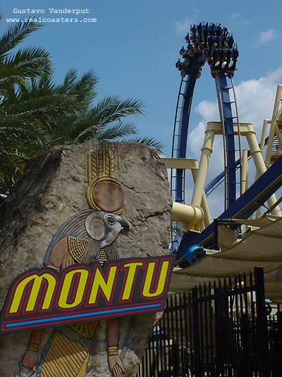 Montu Photo From Busch Gardens Tampa Coasterbuzz