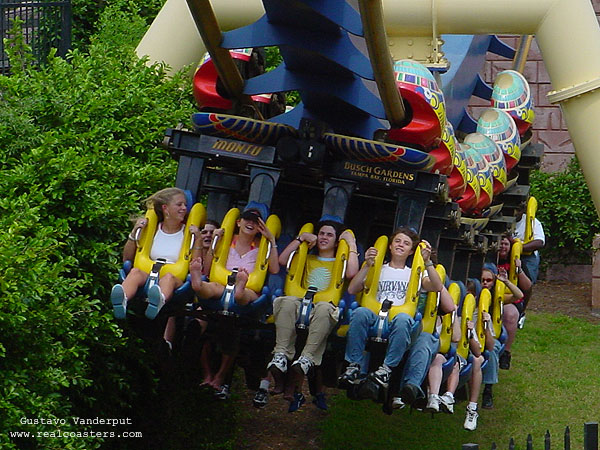 Montu photo from Busch Gardens Tampa