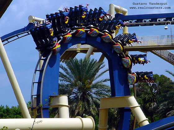 Montu Photo From Busch Gardens Tampa Coasterbuzz