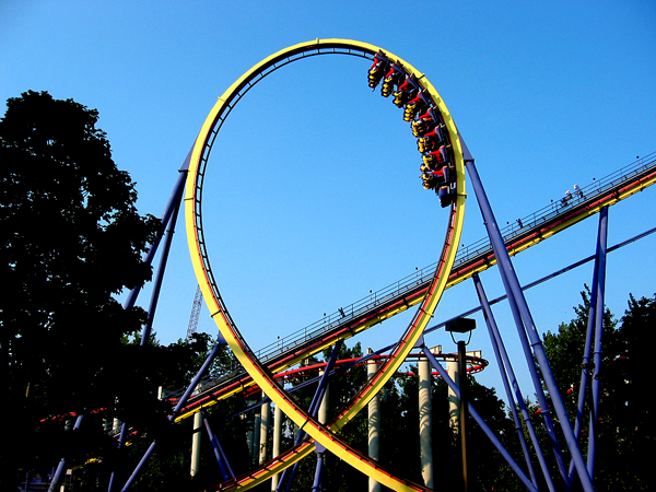 Mantis photo from Cedar Point