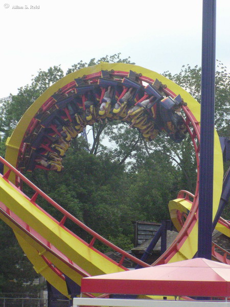 Mantis photo from Cedar Point