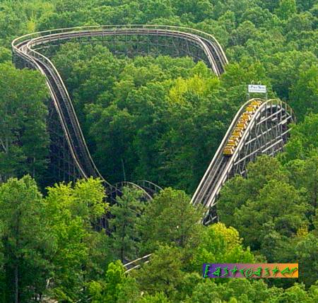 Grizzly, The photo from Kings Dominion