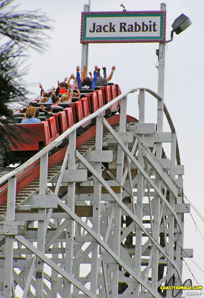 Jackrabbit photo from Seabreeze