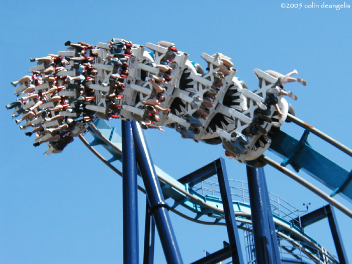 Great White photo from SeaWorld San Antonio