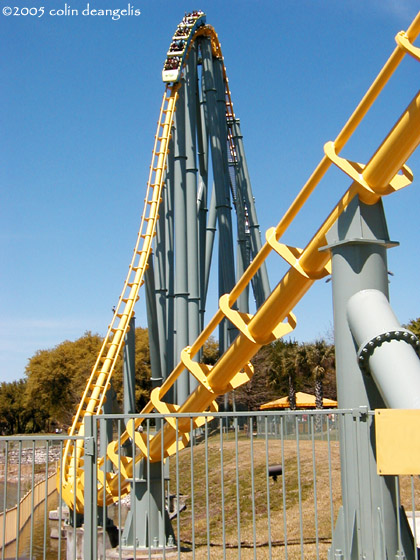 Steel Eel photo from SeaWorld San Antonio