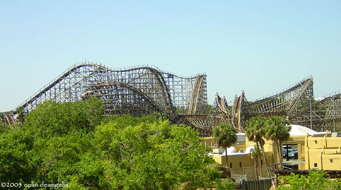 Gwazi (Tiger) photo from Busch Gardens Tampa