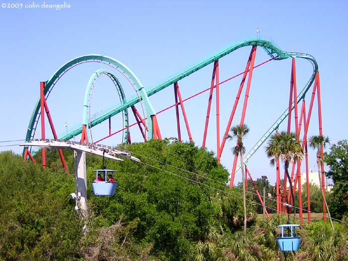 Kumba photo from Busch Gardens Tampa