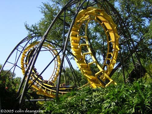 Python Photo From Busch Gardens Tampa Coasterbuzz