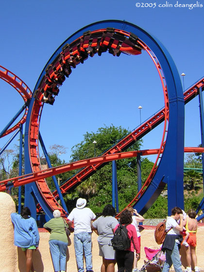 Scorpion photo from Busch Gardens Tampa