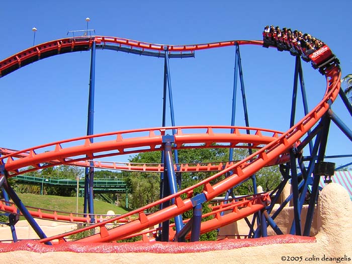 Scorpion photo from Busch Gardens Tampa