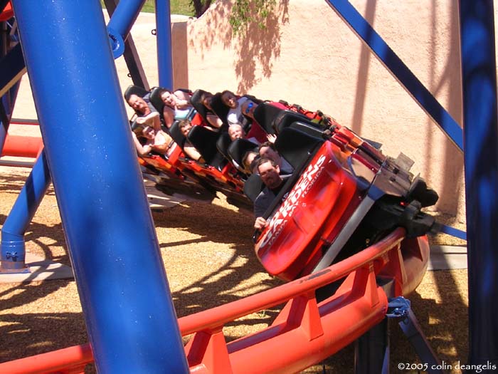 Scorpion photo from Busch Gardens Tampa