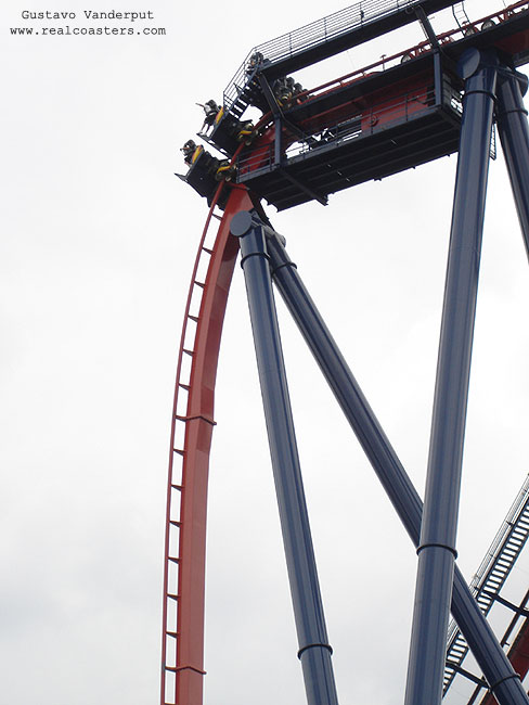 SheiKra photo from Busch Gardens Tampa