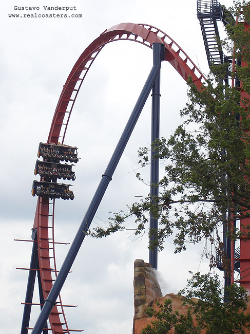 SheiKra photo from Busch Gardens Tampa