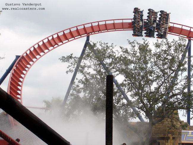 SheiKra photo from Busch Gardens Tampa