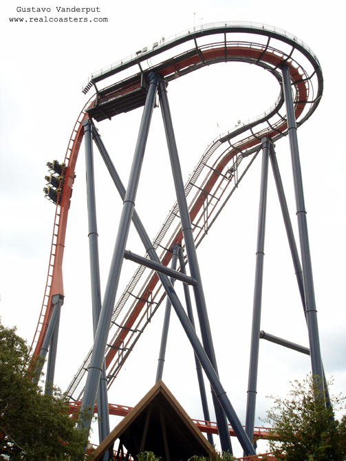 SheiKra photo from Busch Gardens Tampa