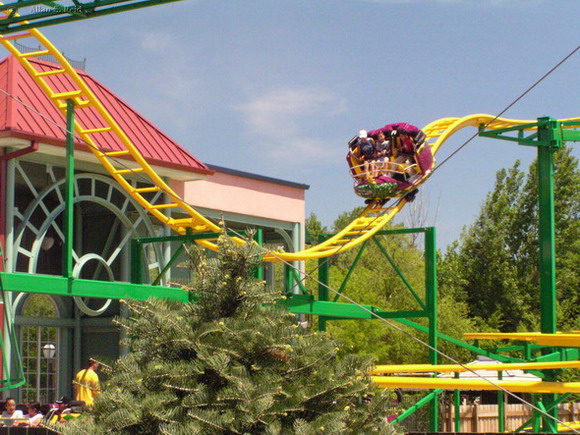 Ragin' Cajun photo from Six Flags Great America