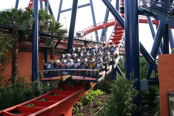 SheiKra photo from Busch Gardens Tampa