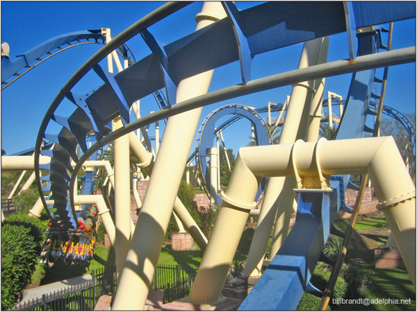 Montu photo from Busch Gardens Tampa